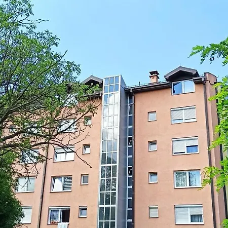 2h * 塞拉耶佛